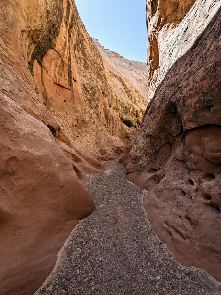 PXL_20230526_162546237~2