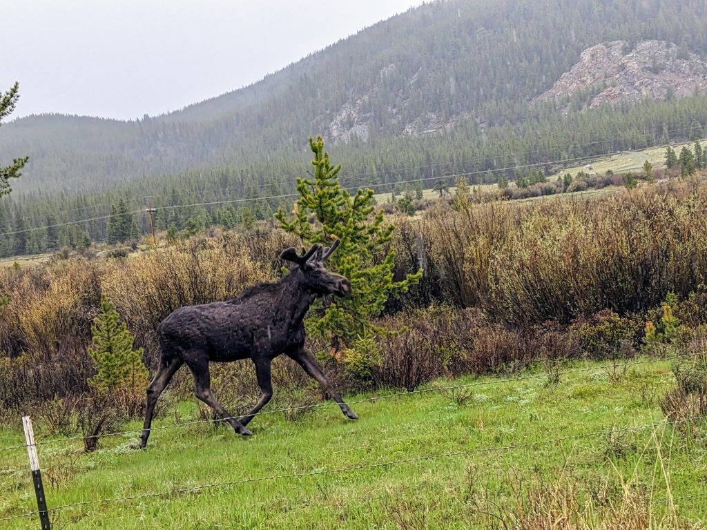 PXL_20230604_175933419