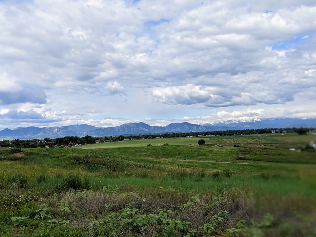 PXL_20230615_155407159.PORTRAIT