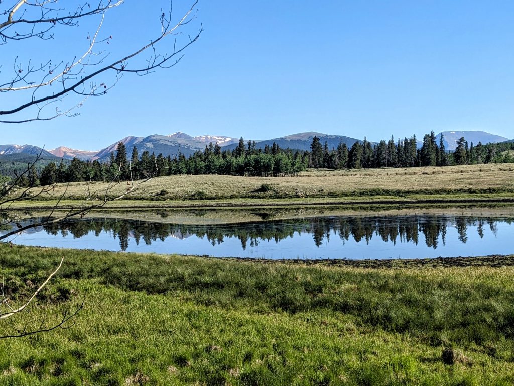 PXL_20240710_142248178~2