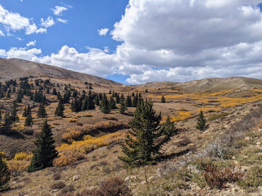 PXL_20240929_203053375