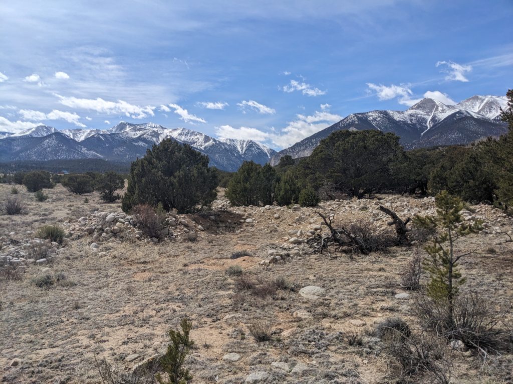 PXL_20250324_200638751