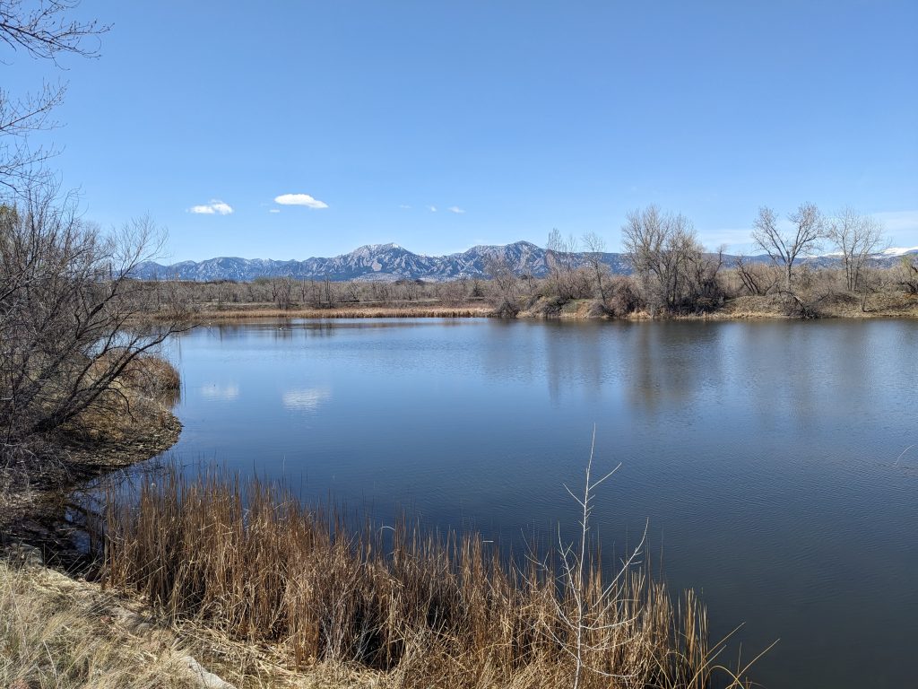 PXL_20250406_172947635