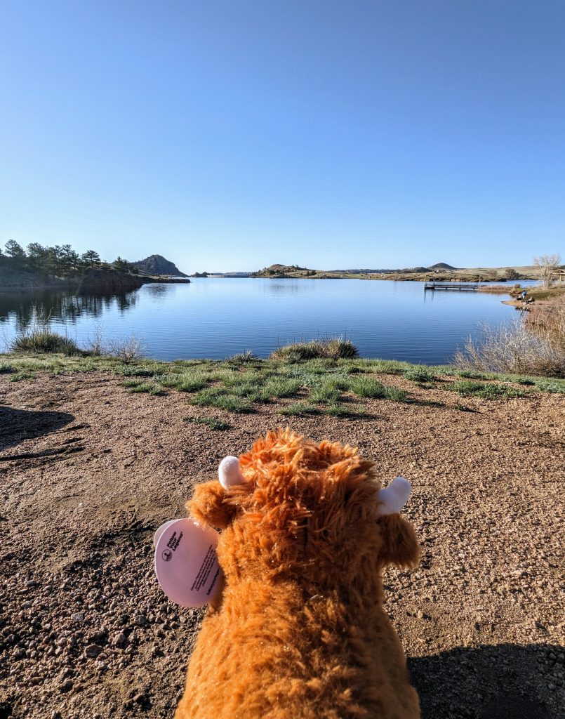 original_2ab02e72-a890-4eaf-9e45-e4a588f4e56f_PXL_20250510_131224732~2