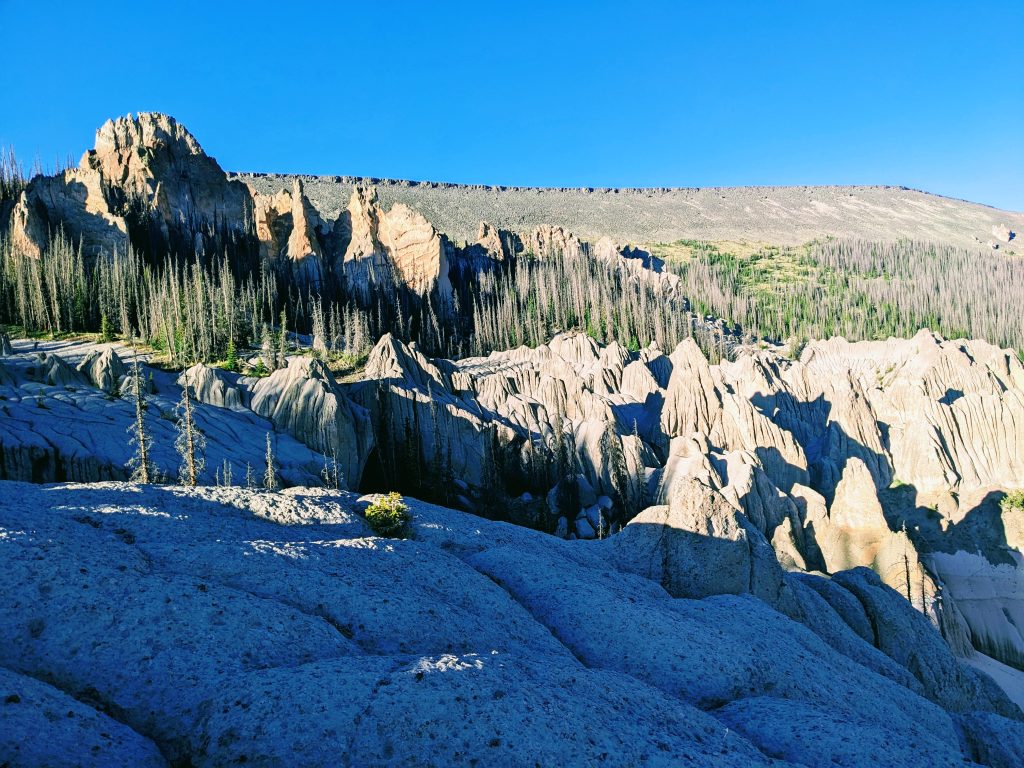 PXL_20260616_010710115~2